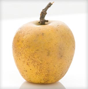 Pitmaston Pinapple