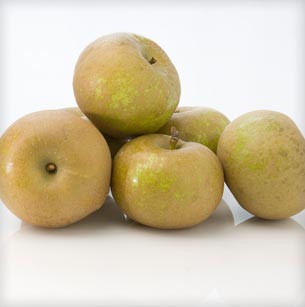 PommeGris Apple Group