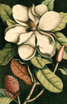 image (12)