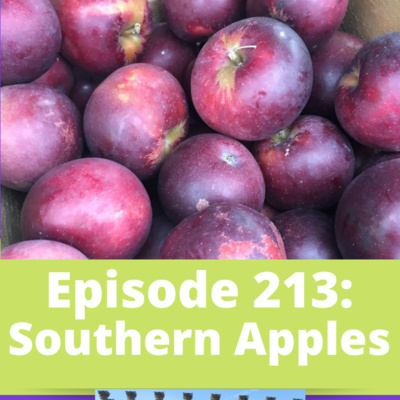 southern apples